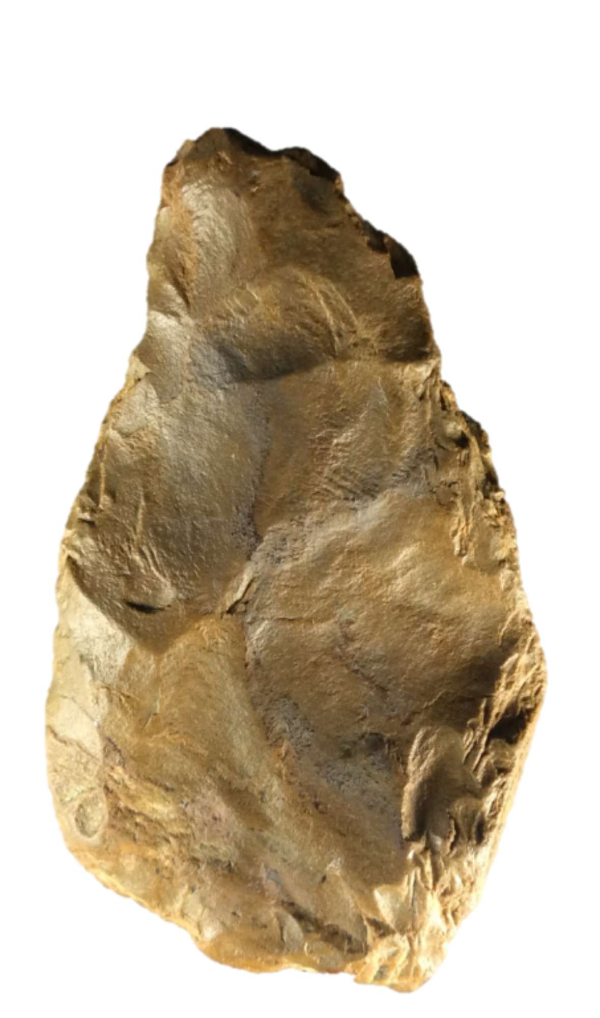 BIF00189_CASANFRANCESCO_ 262